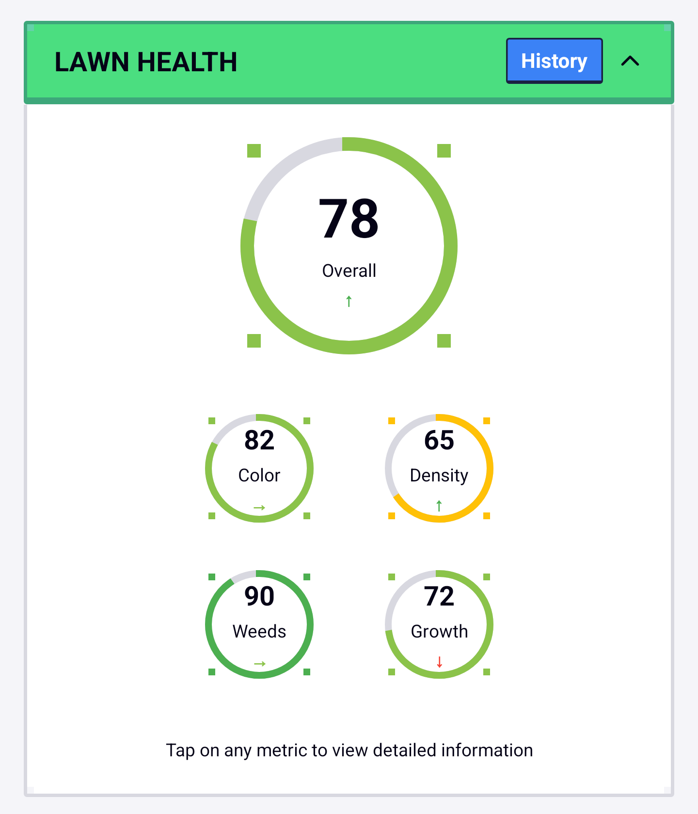 AI Lawn Analysis Feature